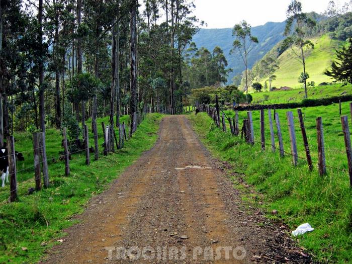Trochas Pasto