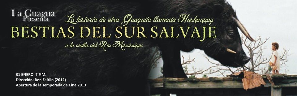 Cinesztesia Pasto