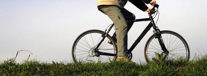 El Domingo saca tu bicicleta y tu mascota, vamos de paseo!