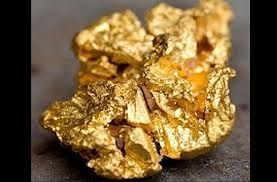Ahora las bacterias producen oro