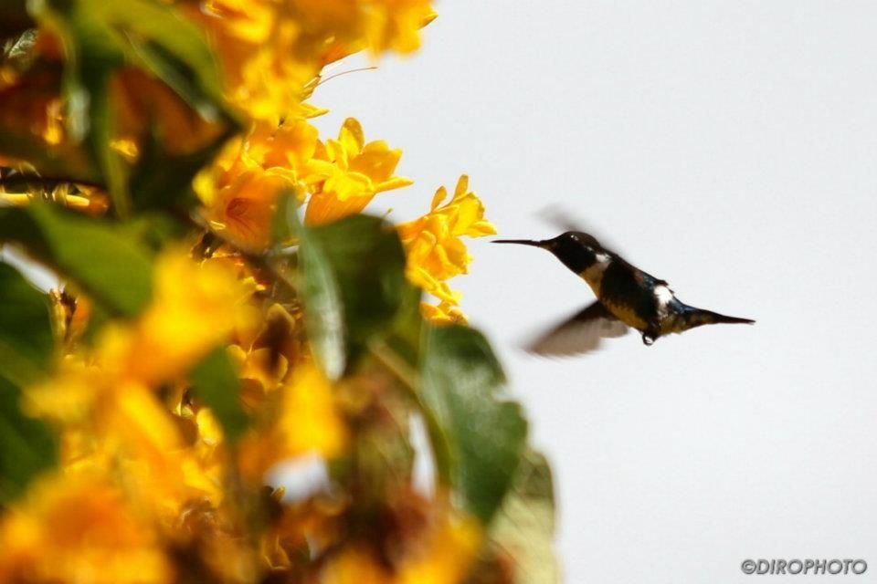 Fotografía: Diego Rodríguez