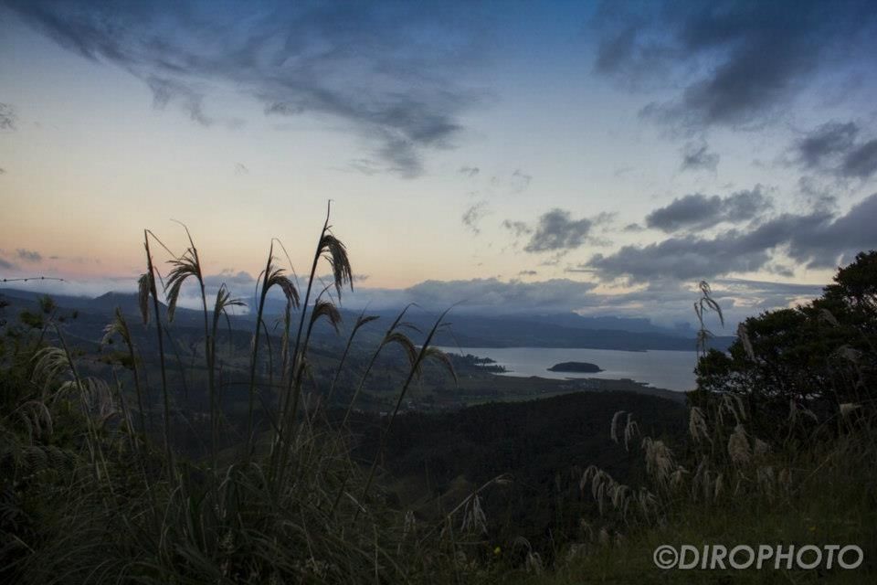 Fotografo: Diego Mauricio Rodriguez