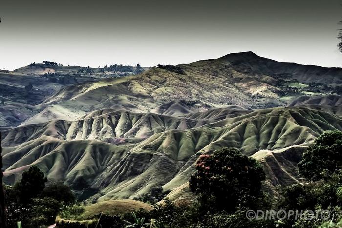 Fotografía: Diego Rodríguez