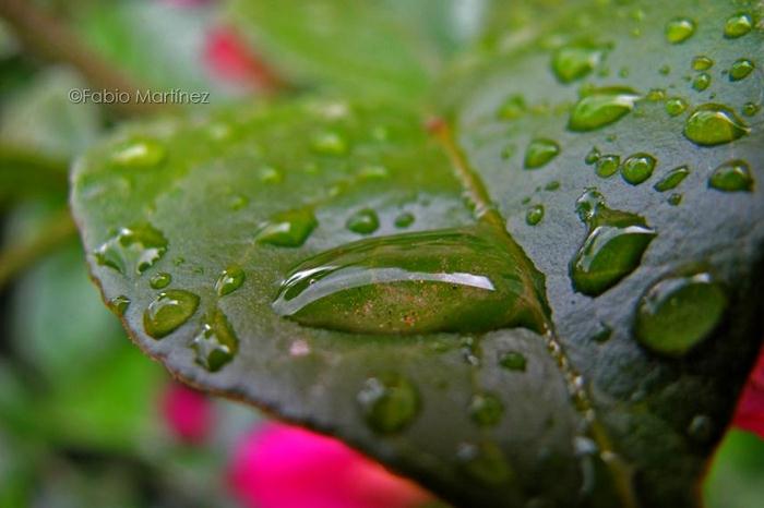 Fotografía: Fabio Martínez