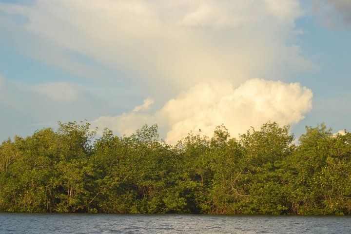 Fotografía: Juan Francisco Vargas