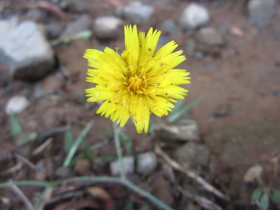 Fotografía: Mónica Ortega