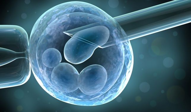 Investigadores logran crear células madre por clonación