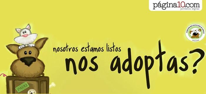 Campaña: Nosotros estamos listos! Nos adoptas?