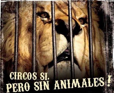 Legislación Colombiana prohíbe animales en los circos.