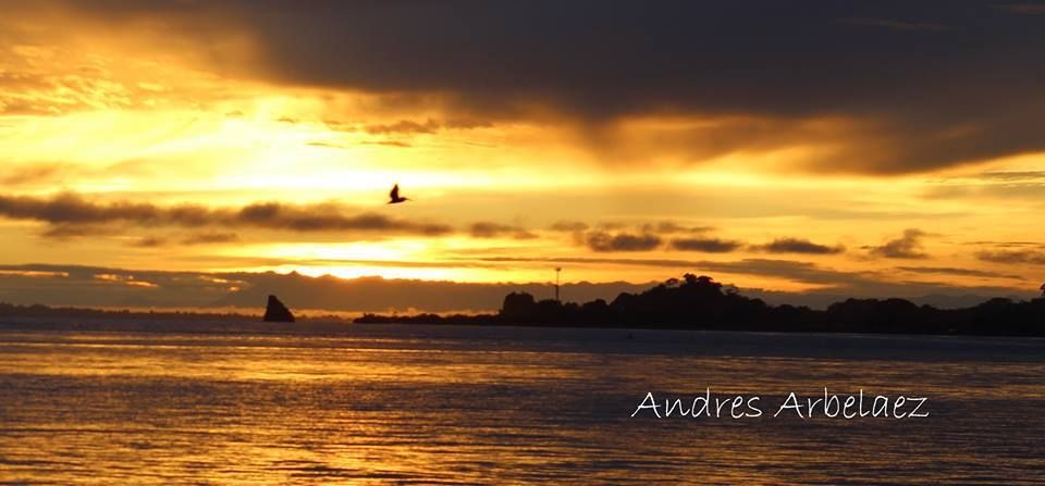 Fotografía: Andres Arbelaez