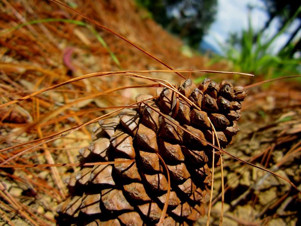 Fotografía: Mónica Ortega