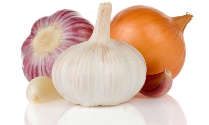 SANA QUE SANA… LOS MEJORES ANTIBIÓTICOS NATURALES