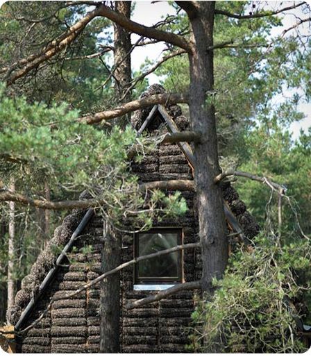 Ahora las casas están cubiertas de algas. Eco – construcción