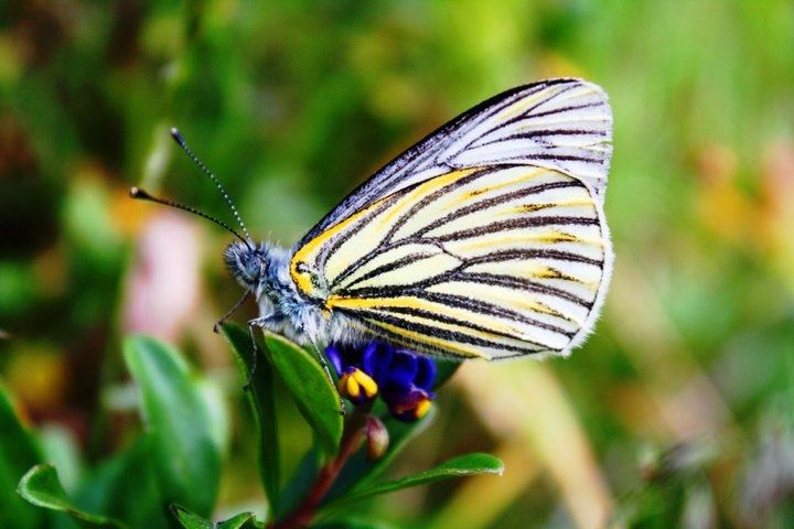 Fotografía: Diego Rodríguez