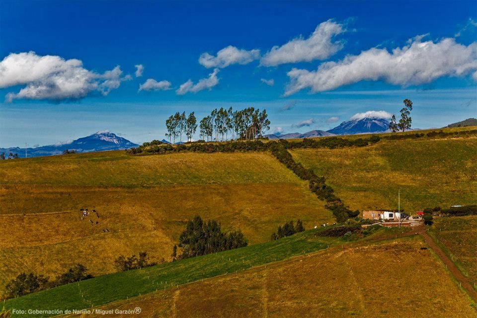 Fotografía: Miguel Garzón