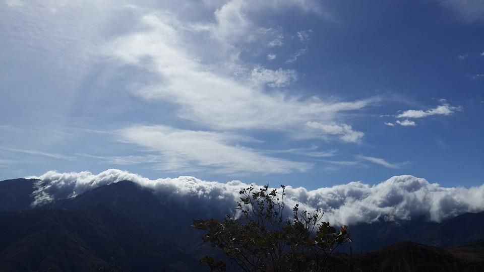 Fotografía: Mario Cepeda