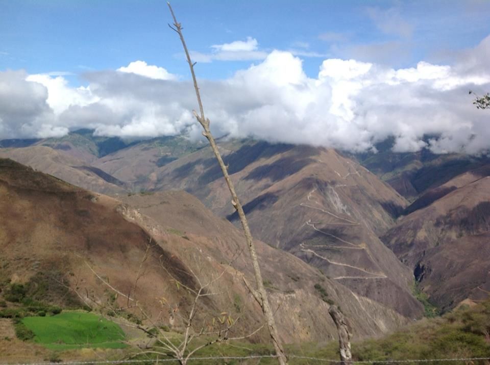 Fotografía: Mario Cepeda
