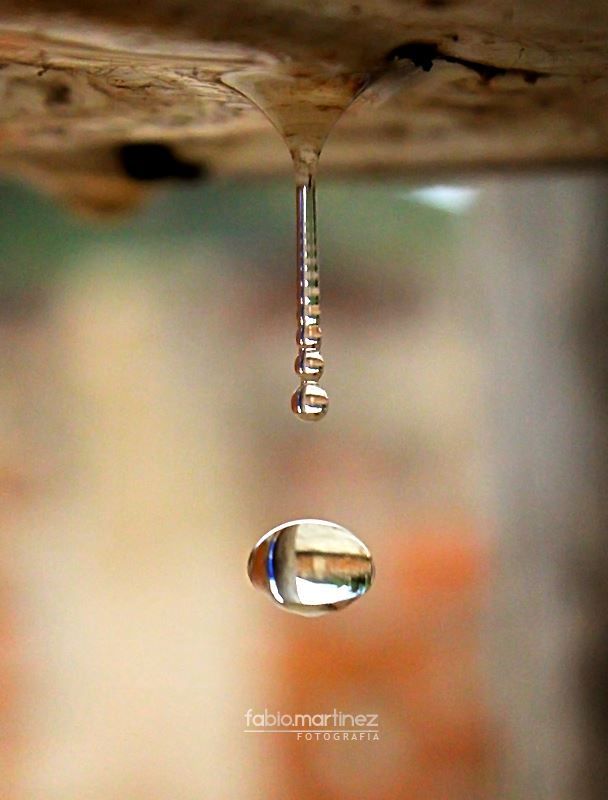 Fotografía: Fabio Martínez