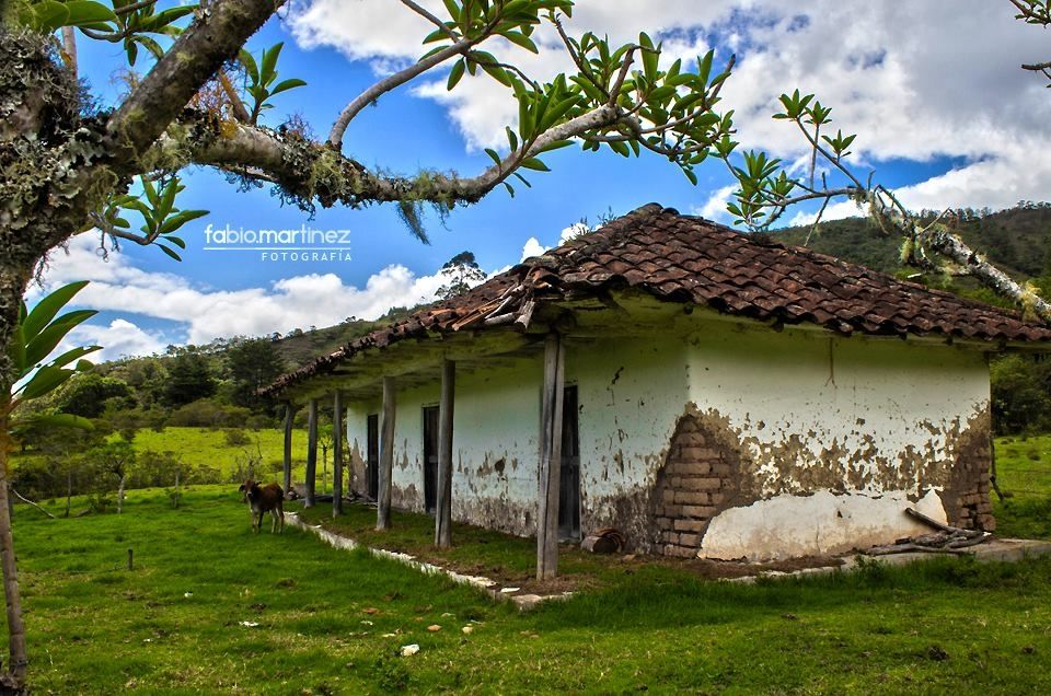 Fotografía: Fabio Martínez
