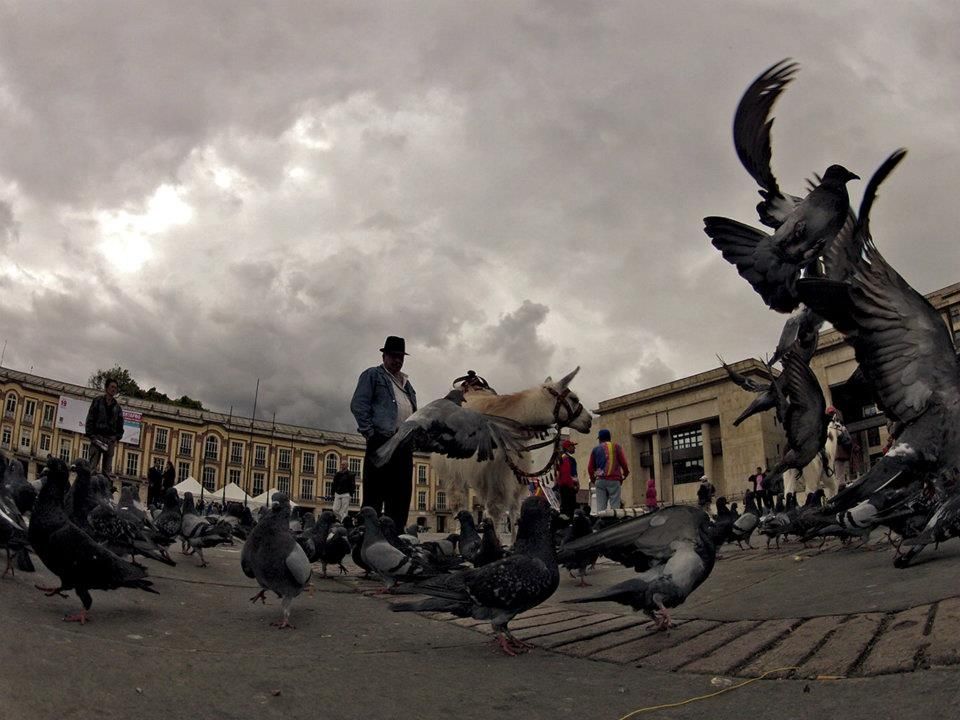 Fotografía: Miguel Garzón Guerrero