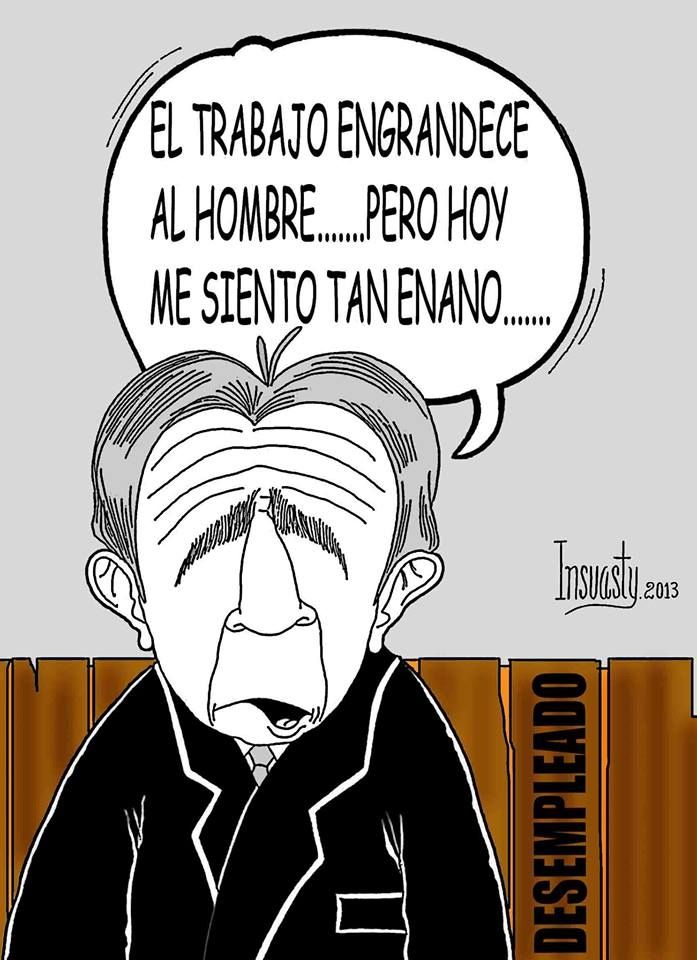 Bajo vuelo