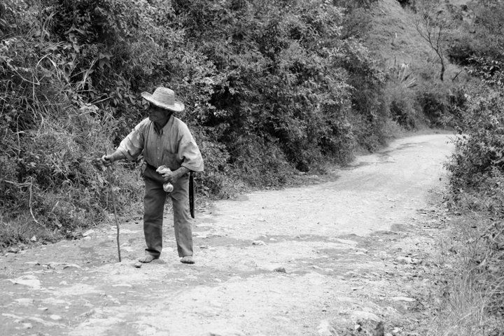 Fotografía: Diego Rodríguez