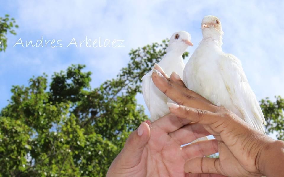 Fotografía: Andrés Arbelaez