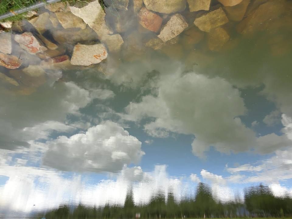 Fotografía: Juan Francisco Vargas