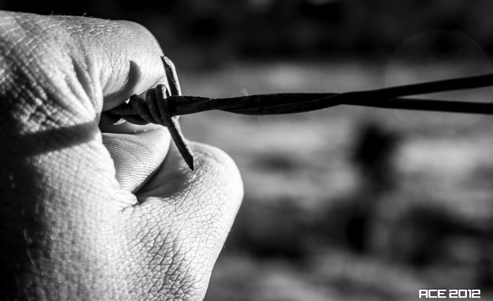 Fotografía: Andres Ceballos