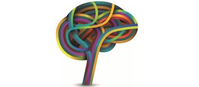 Mapa del cerebro enamorado