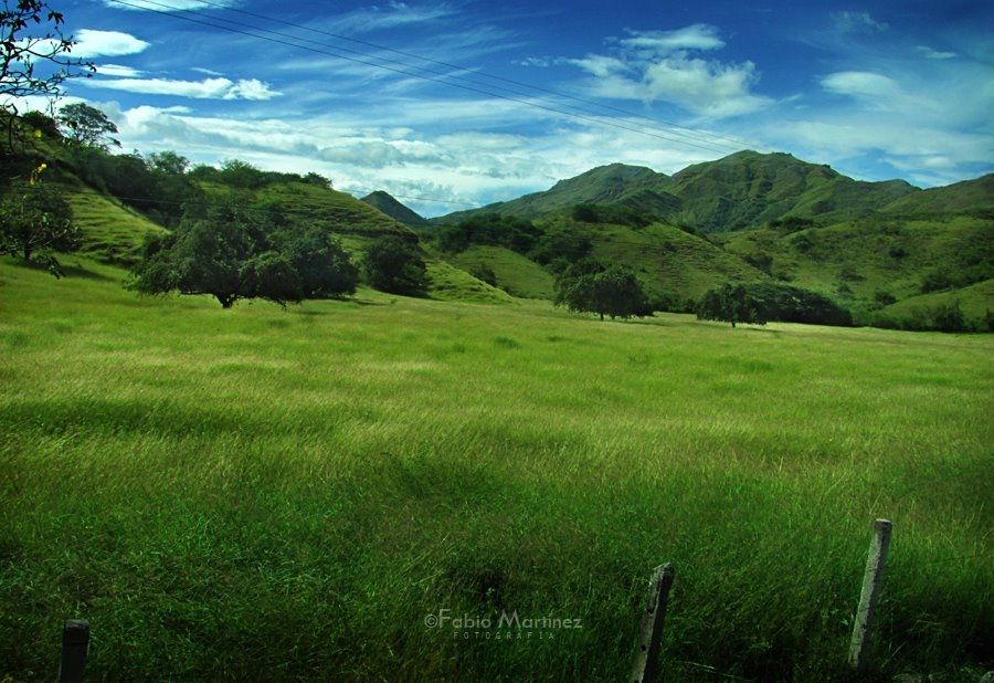 Fotografía: Fabio Martínez