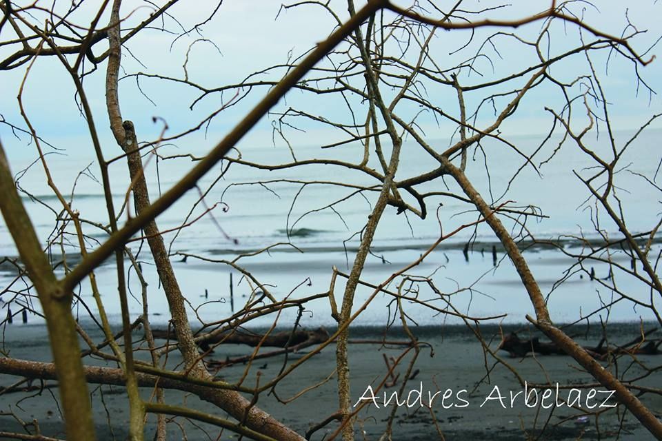 Fotografía: Andrés Arbelaez