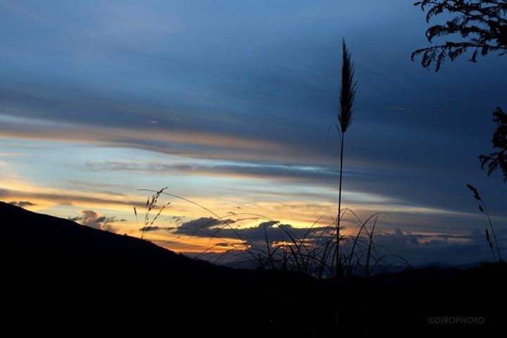 Fotografía: Diego Rodriguez