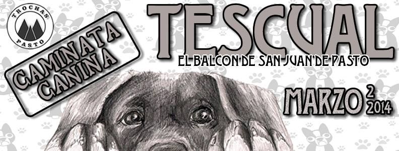ESTE DOMINGO: CAMINATA CANINA A TESCUAL “EL BALCÓN DE LA CIUDAD”