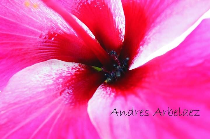 Fotografía: Andrés Arbelaez