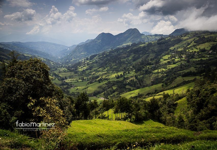 Fotografía: Fabio Martínez