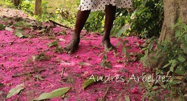 Fotografía: Andres Arbelaez