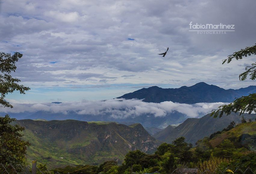 Fotografía: Fabio Martinez