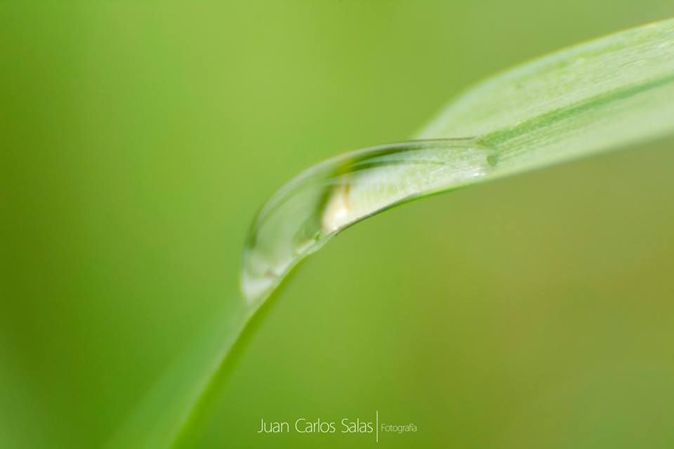 Fotografía: Juan Carlos Salas