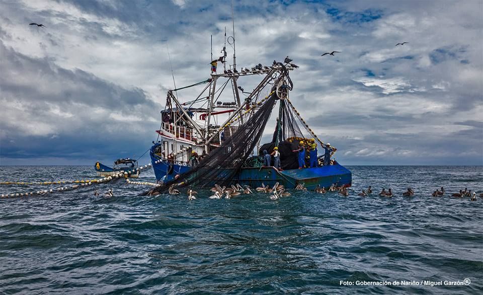 Fotografía: Miguel Garzón Guerrero