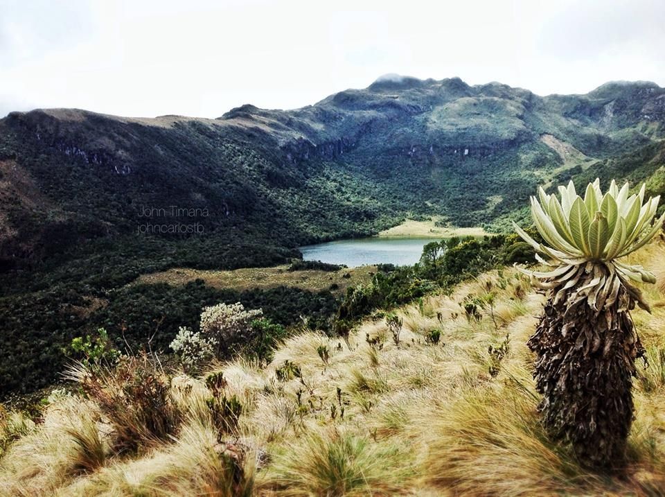 Fotografía: John Timaná