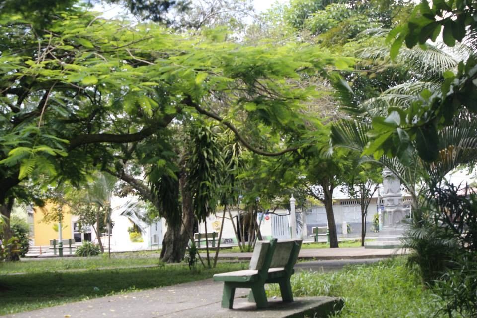 Fotografía: Mario Cepeda