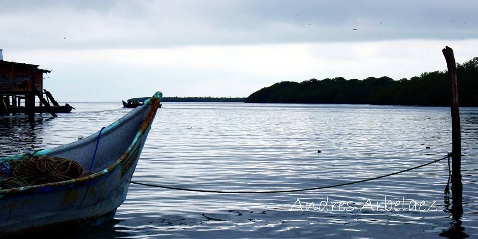 Fotografía: Andrés Arbelaez