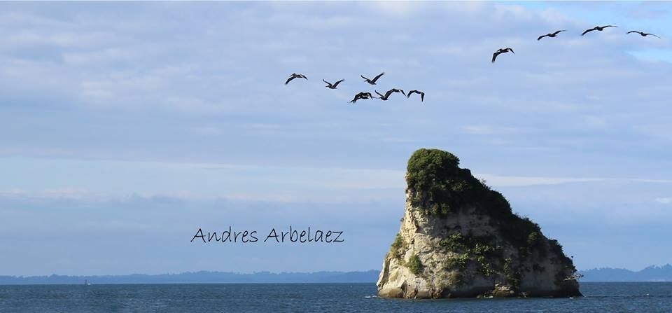 Fotografía: Andres Arbelaez