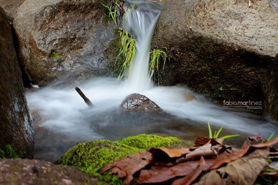 Fotografía: Fabio Martínez