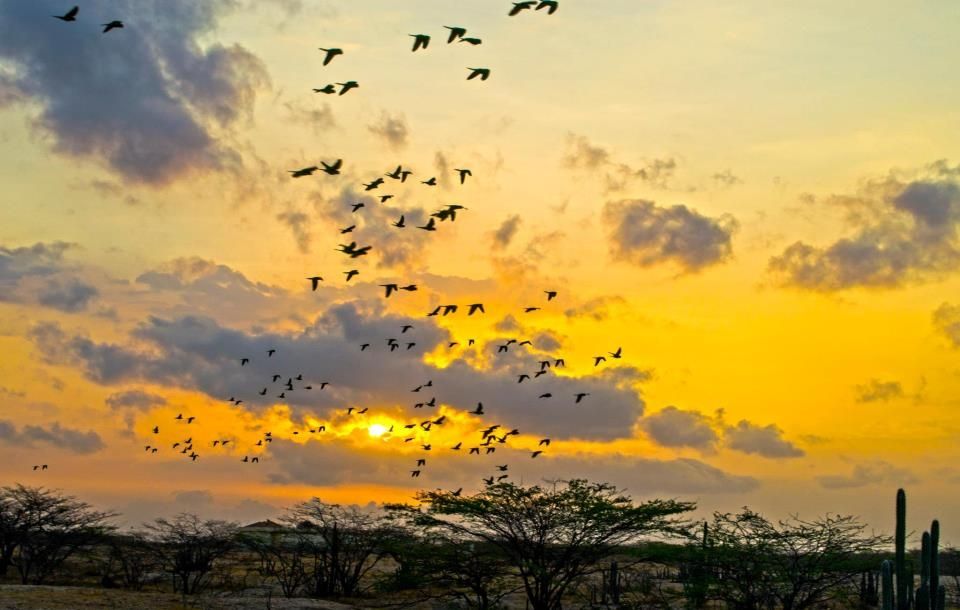 Fotografía: Juan Francisco Vargas