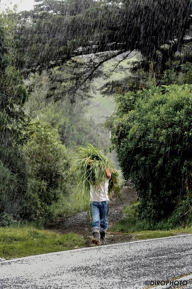 Fotografía: Diego Rodríguez