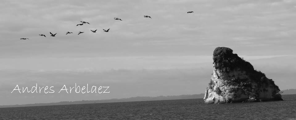 Fotografía: Andrés Arbelaez