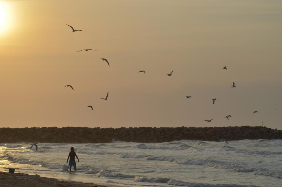 Fotografía: Juan Francisco Vargas