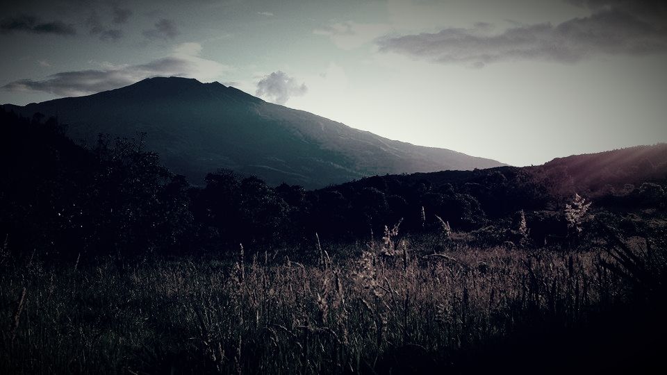Fotografía: Mario Cepeda